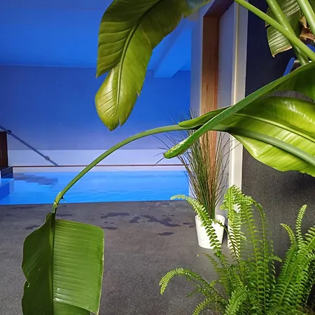 La Chamallow Coeur D'artichaud 4* Dinant